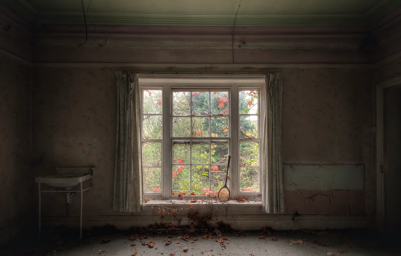 Photo wallpaper room, window, racket