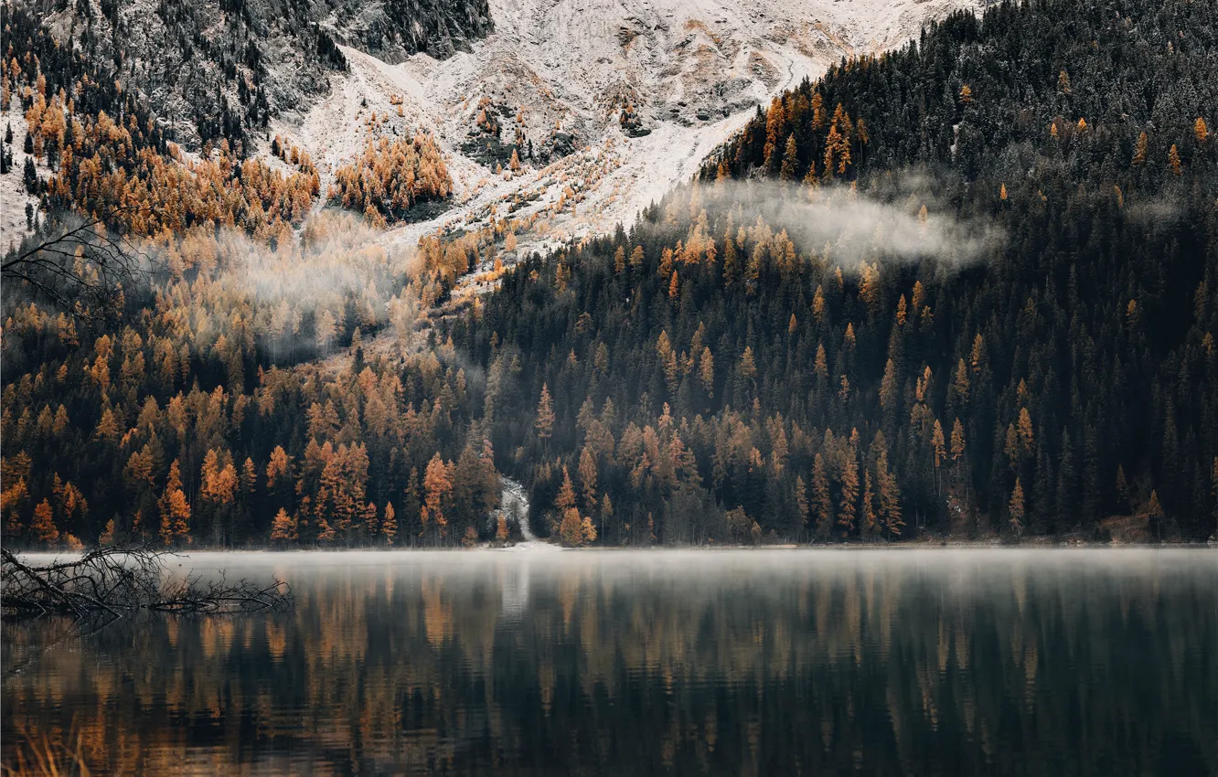 Photo wallpaper forest, trees, landscape, nature, water, lake, reflection