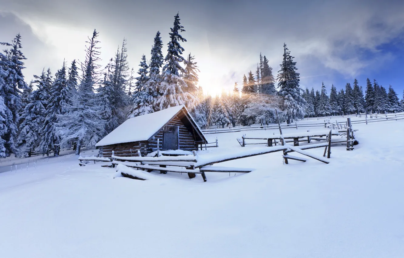 Photo wallpaper winter, forest, the sun, snow, trees, traces, ate, the barn
