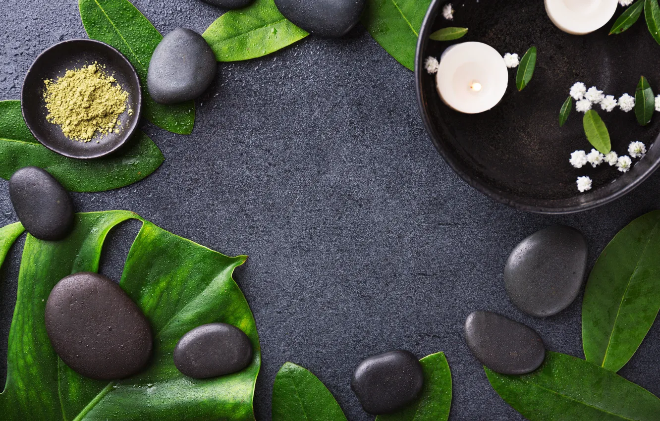 Photo wallpaper leaves, water, drops, flowers, pebbles, stones, background, black