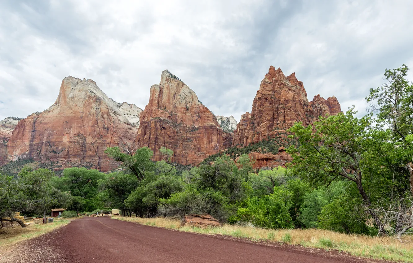 Photo wallpaper USA, road, cloud, park, mountain, tree, national, Utah