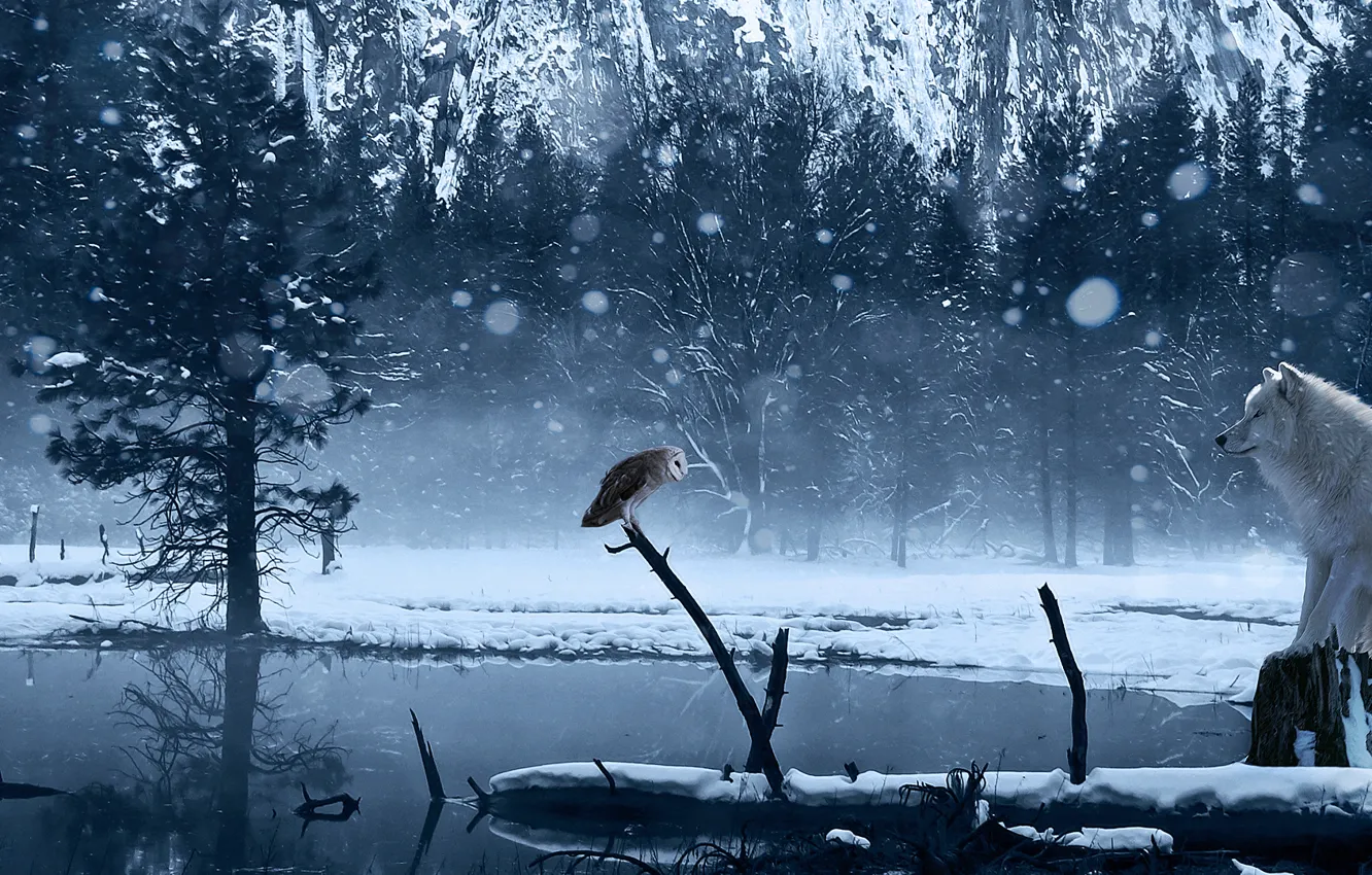 Photo wallpaper winter, snow, lake, owl, wolf, art