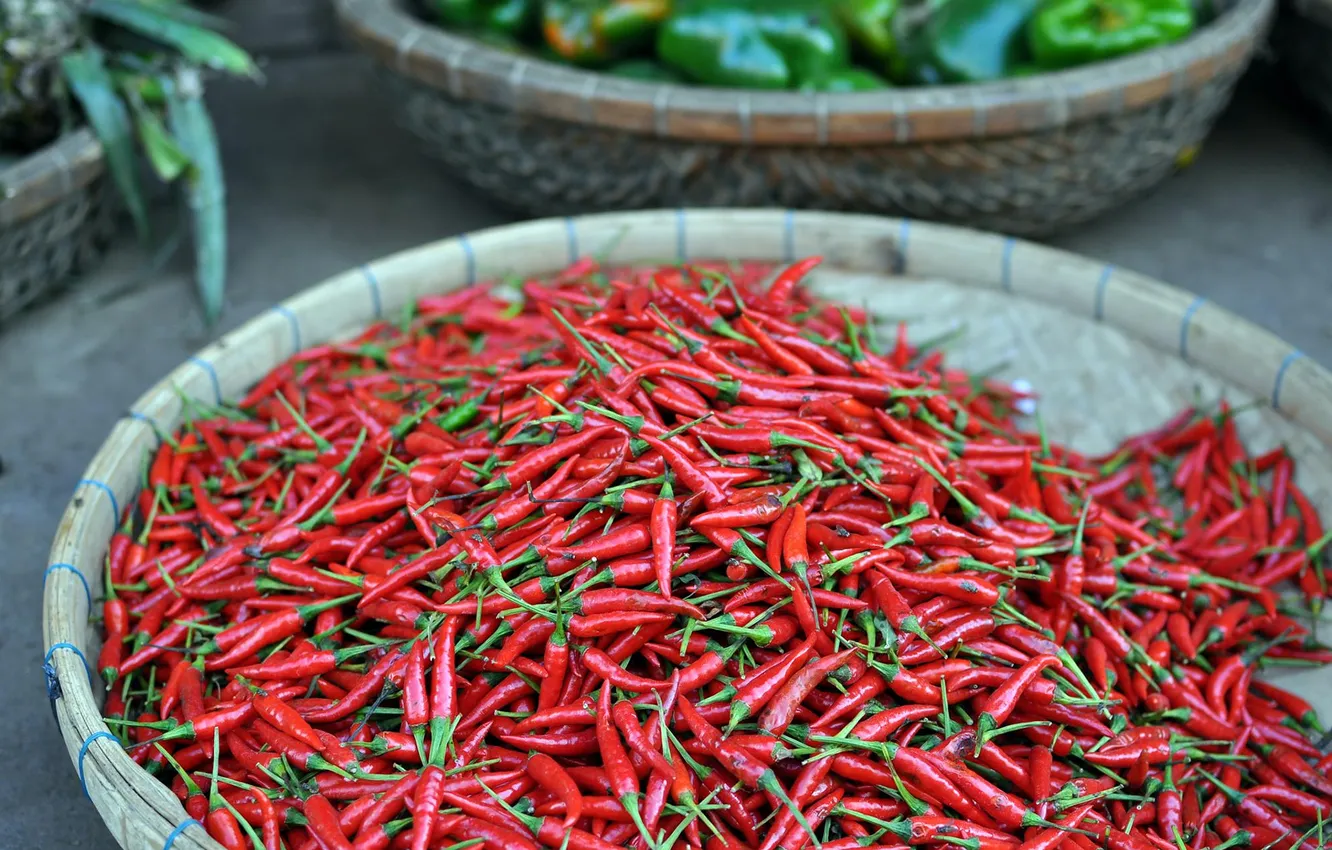 Photo wallpaper red, chili, pepper, Cambodia