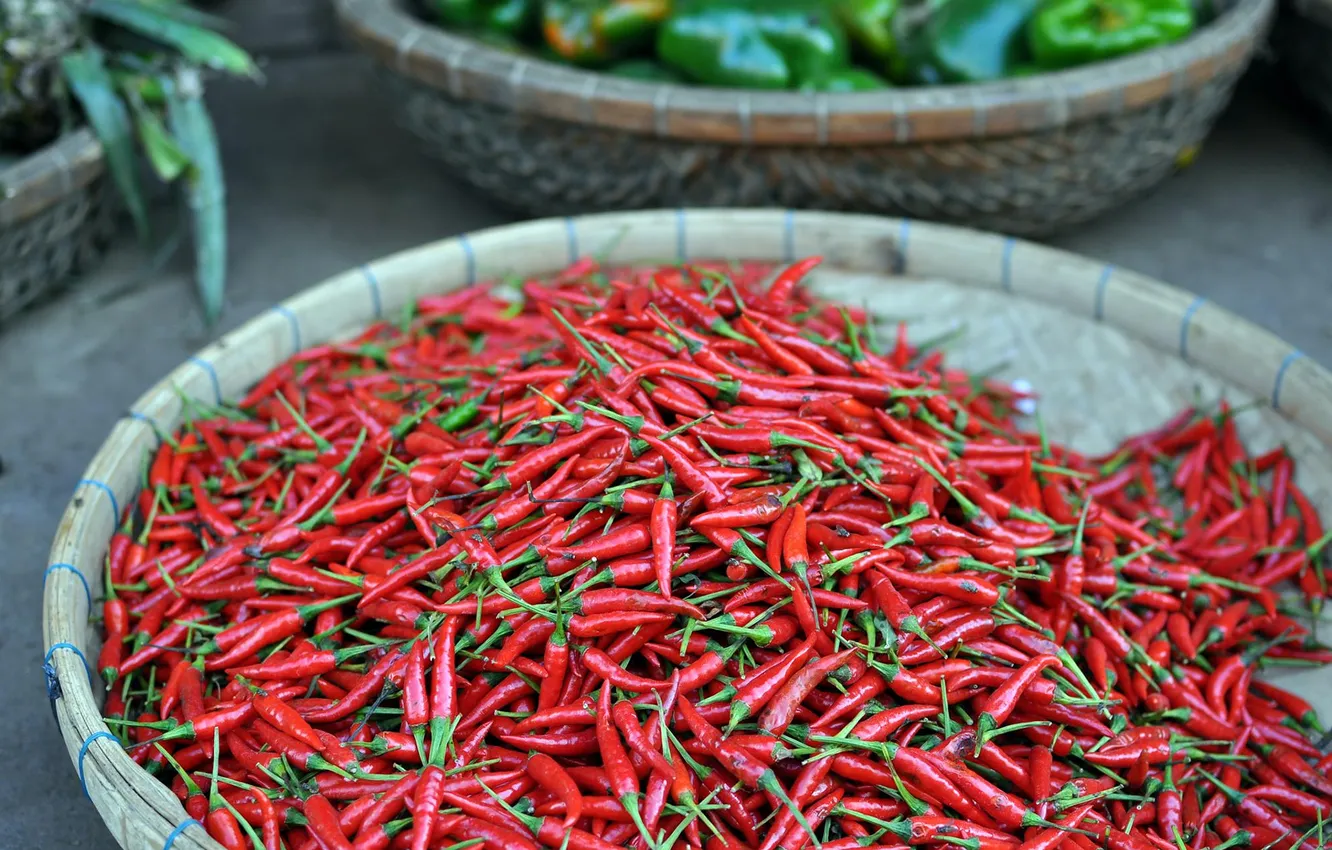 Photo wallpaper red, chili, pepper, cambodia