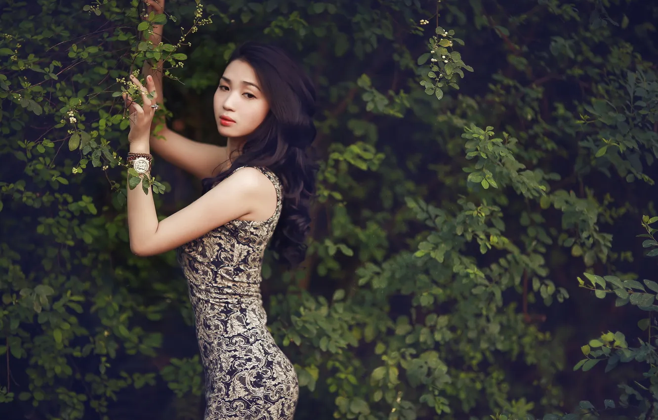 Photo wallpaper girl, background, Asian