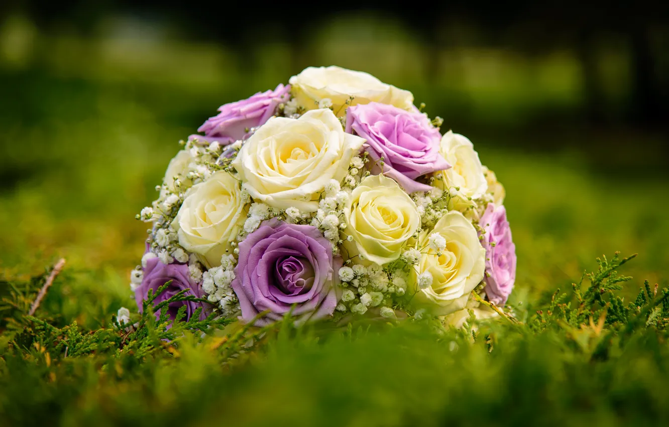 Photo wallpaper roses, blur, the bride's bouquet
