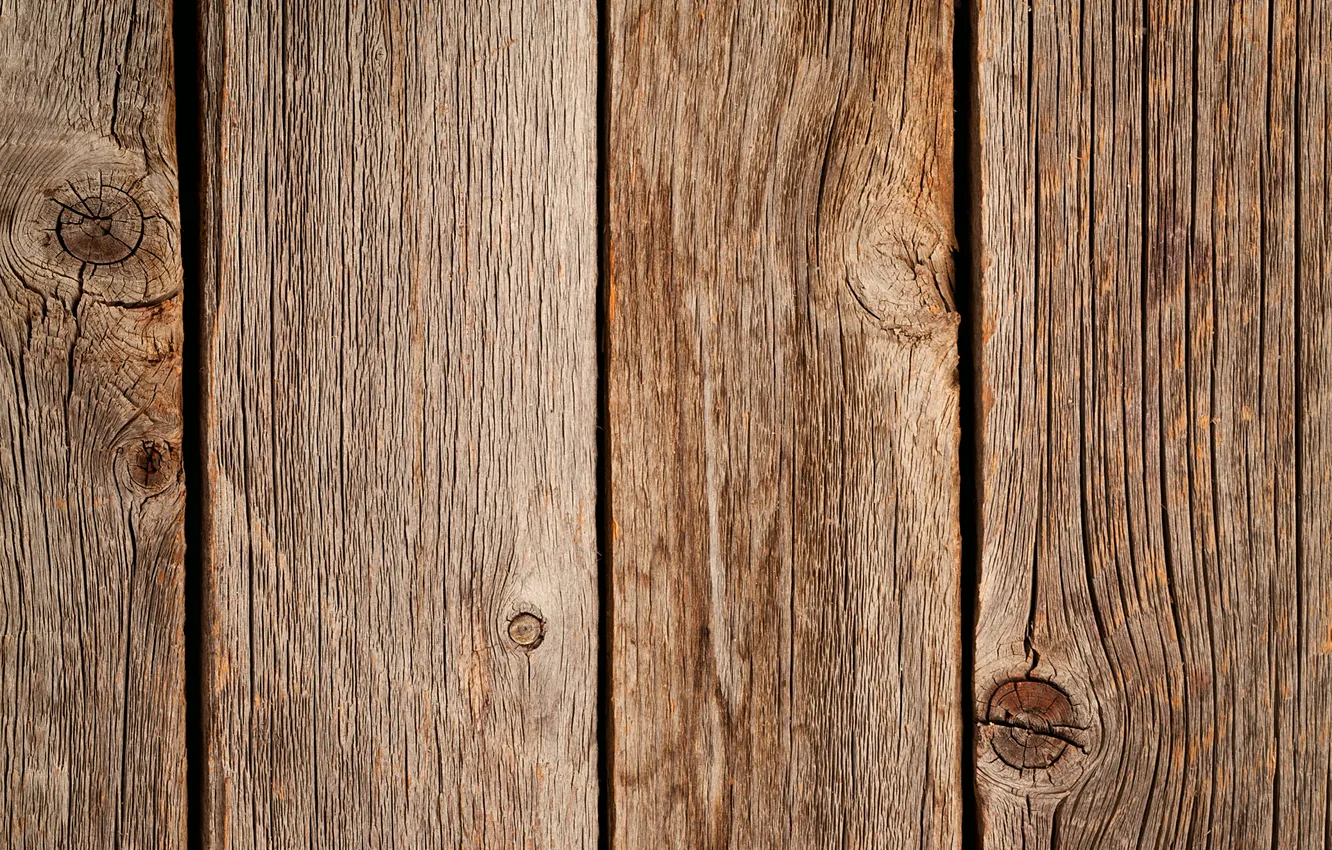 Photo wallpaper trees, Board, old, texture