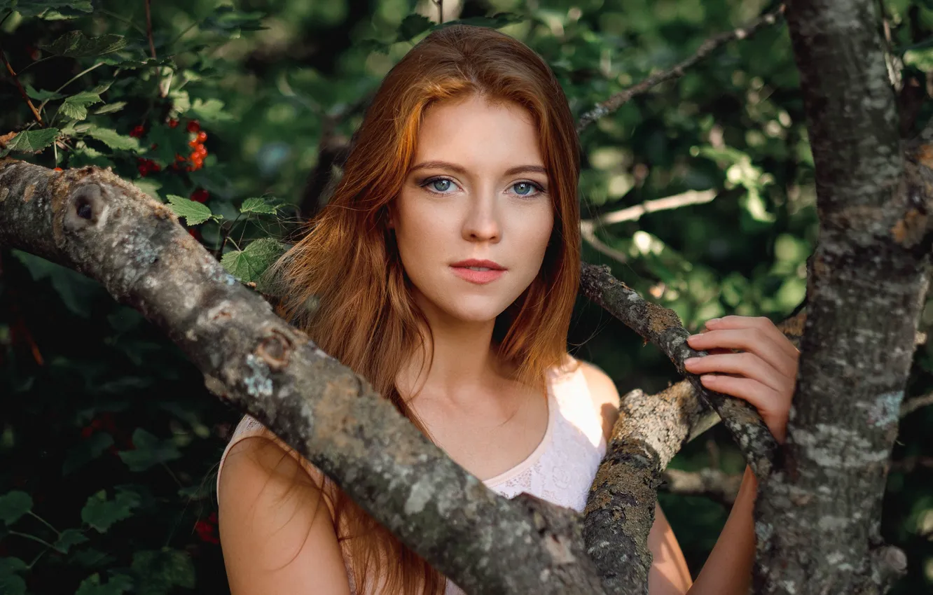 Photo wallpaper look, trees, branches, garden, sponge, the beauty, redhead