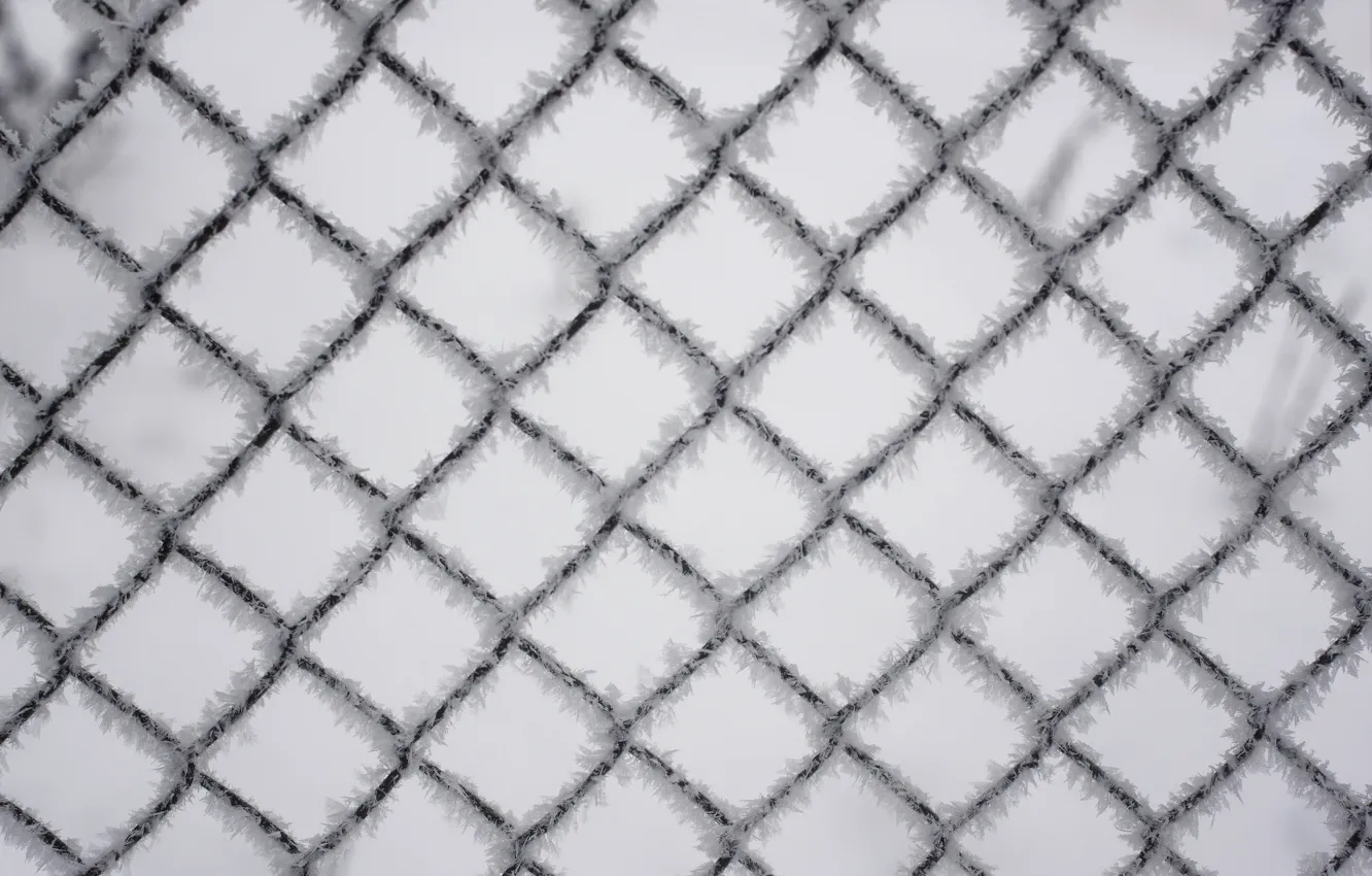 Photo wallpaper winter, blue, mesh, the fence, wire