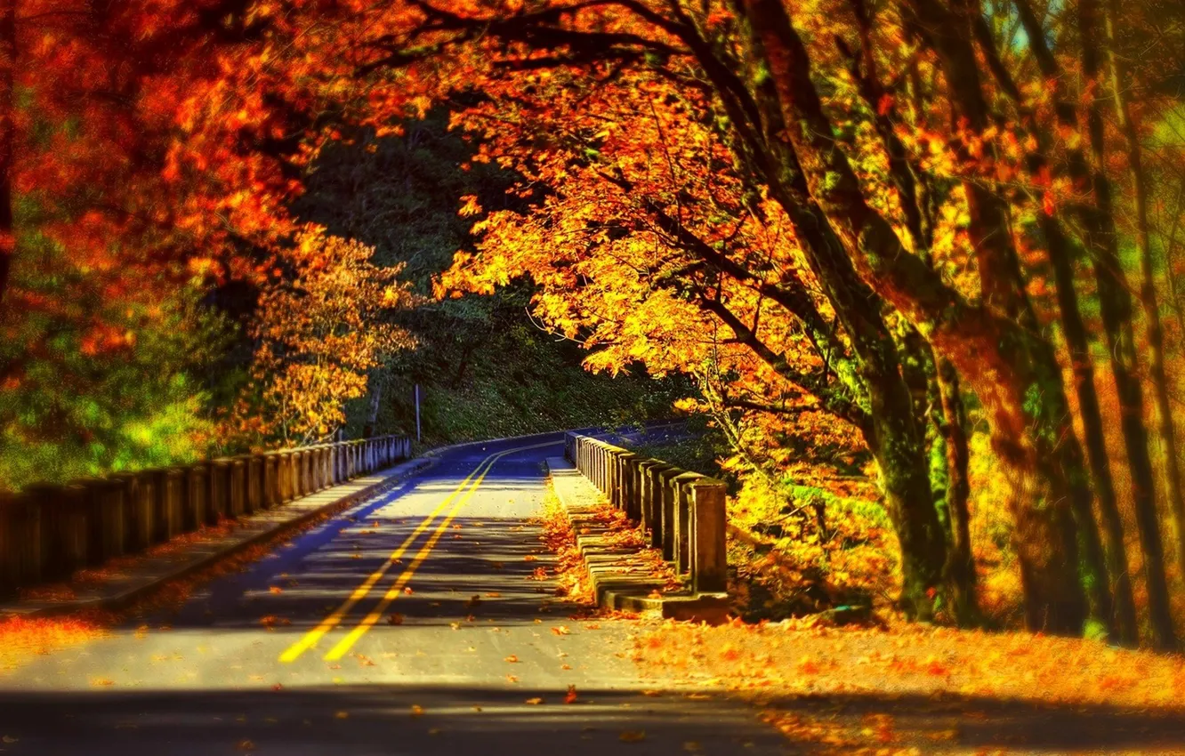 Photo wallpaper road, bridge, fall
