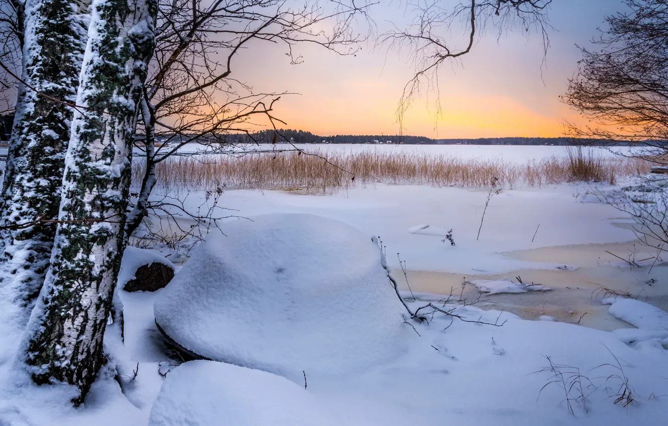 Photo wallpaper ice, winter, field, snow, trees, sunset