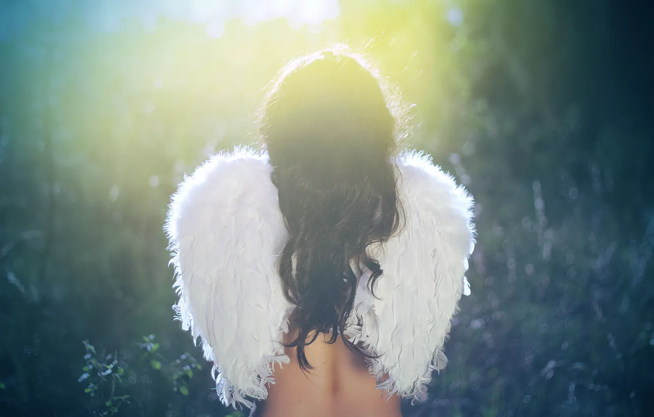 Photo wallpaper girl, wings, angel