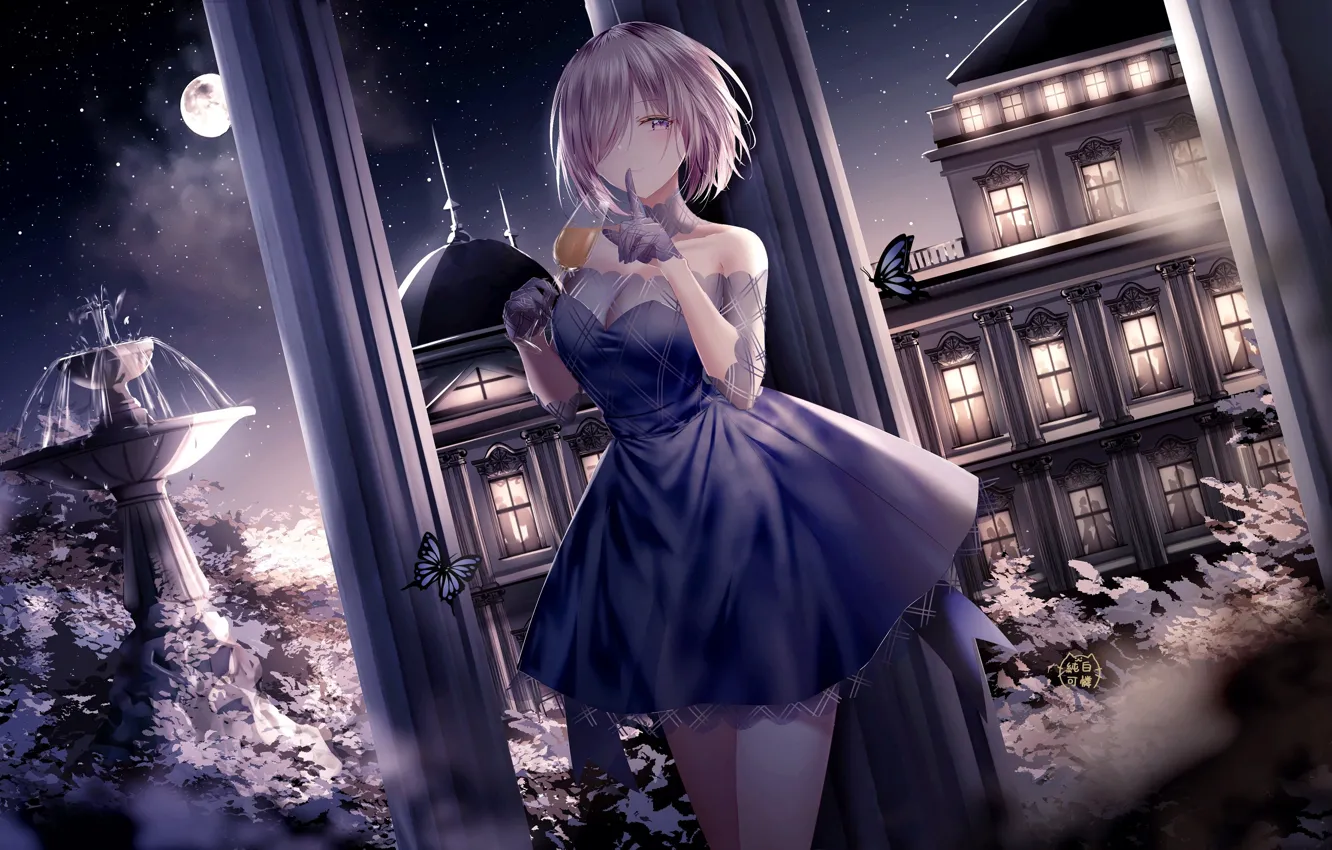 Photo wallpaper girl, night, the moon, home, Fate / Grand Order, Mashu Kyrielight