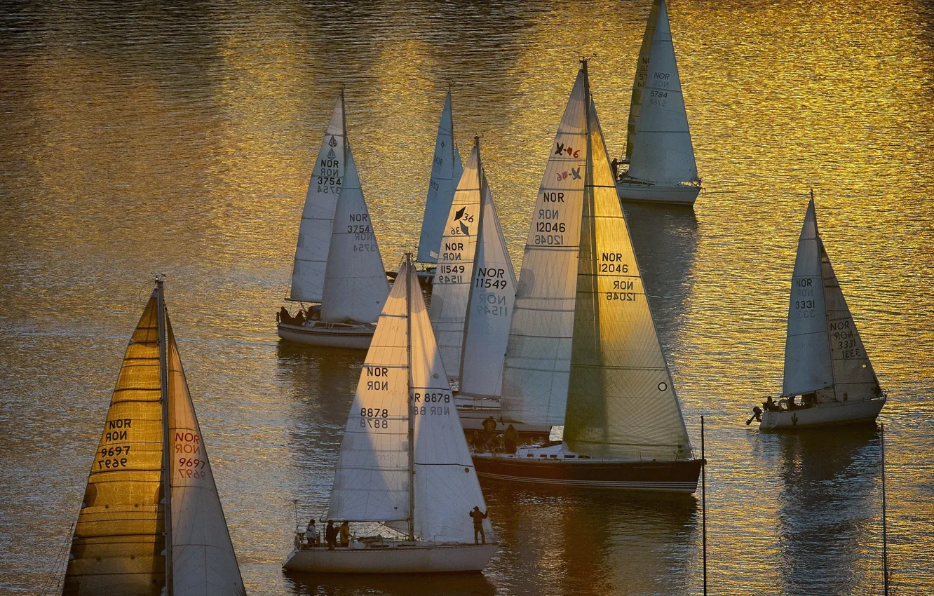Photo wallpaper reflection, the ocean, yachts, sails, ocean, regatta, unsplash, Vidar Nordli Mathisen