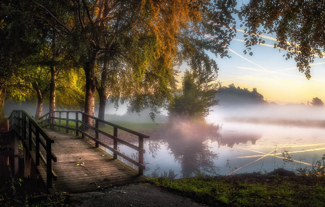 Photo wallpaper autumn, the sky, light, trees, fog, lake, pond, Park