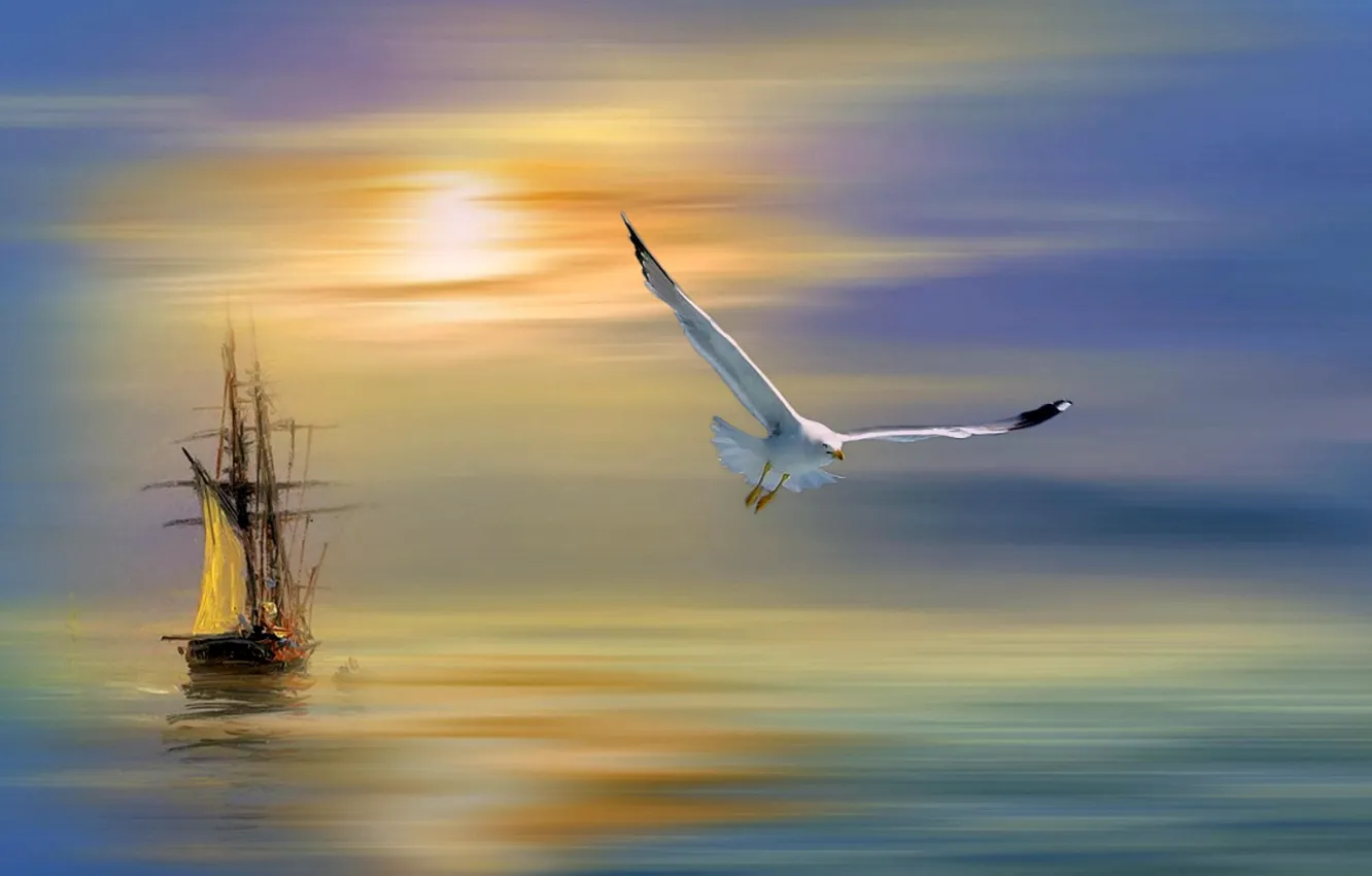 Photo wallpaper water, seagull, tall ship at sunset