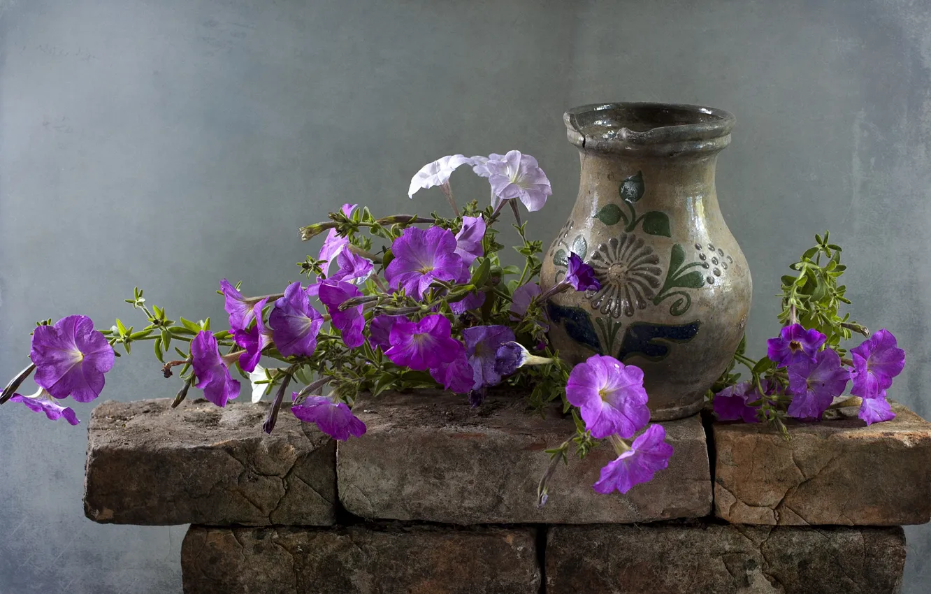 Photo wallpaper flowers, vase, Petunia