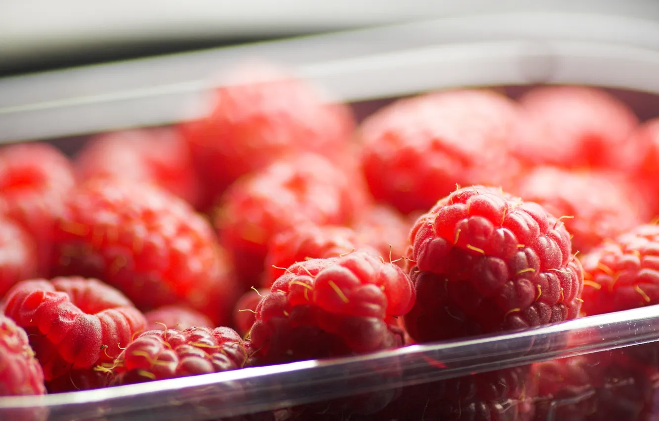 Photo wallpaper red, berries, raspberry, food