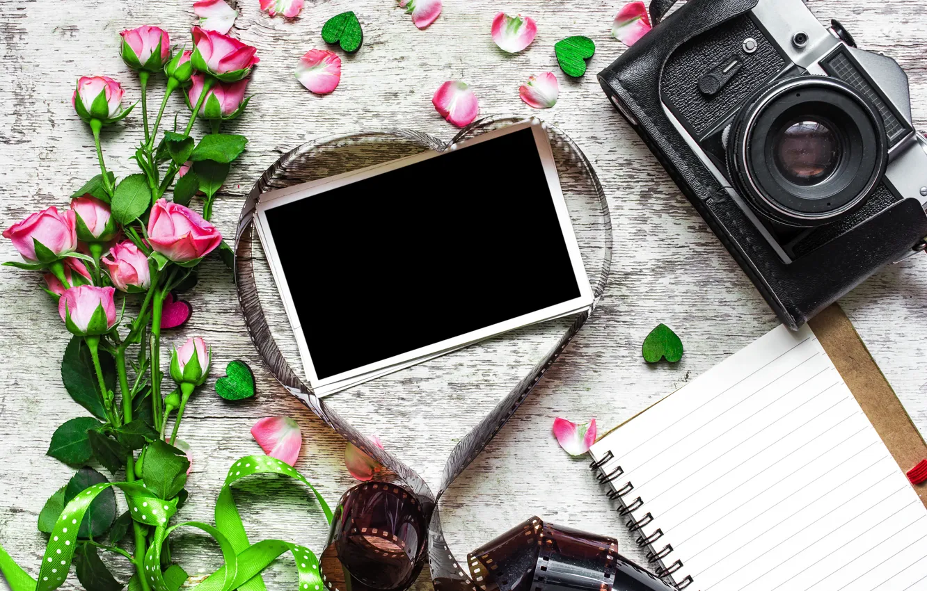 Photo wallpaper flowers, photo, roses, bouquet, camera, frame, gifts, hearts