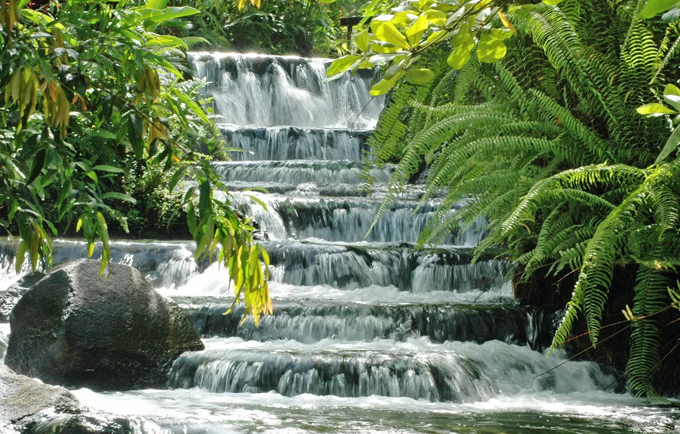 Photo wallpaper greens, waterfall, cascade