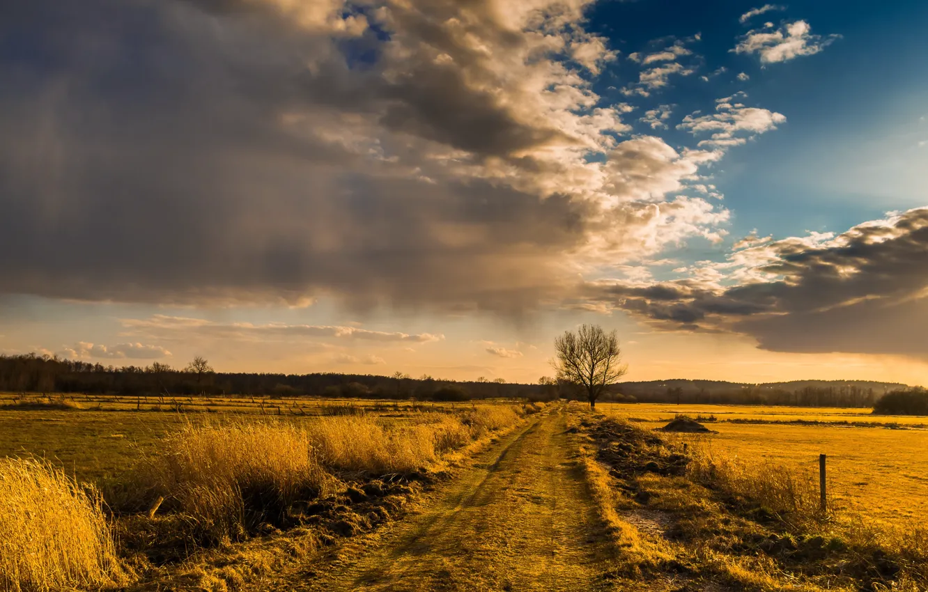 Photo wallpaper road, field, the sky