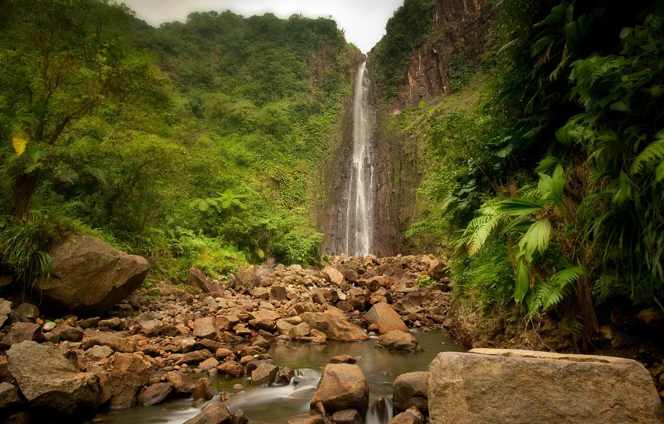 Photo wallpaper nature, river, stones, waterfall, jungle