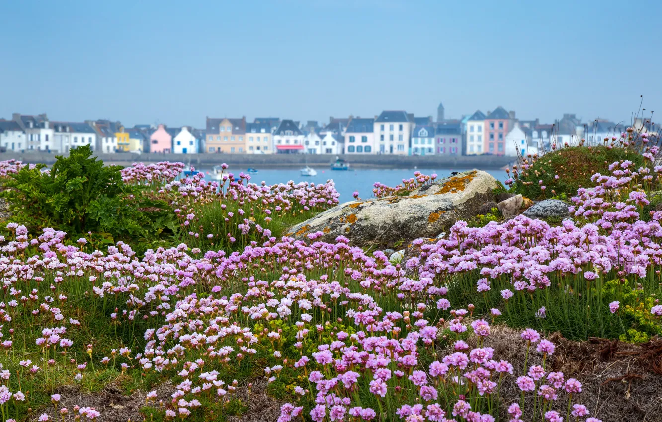 Photo wallpaper flowers, shore, house, pond