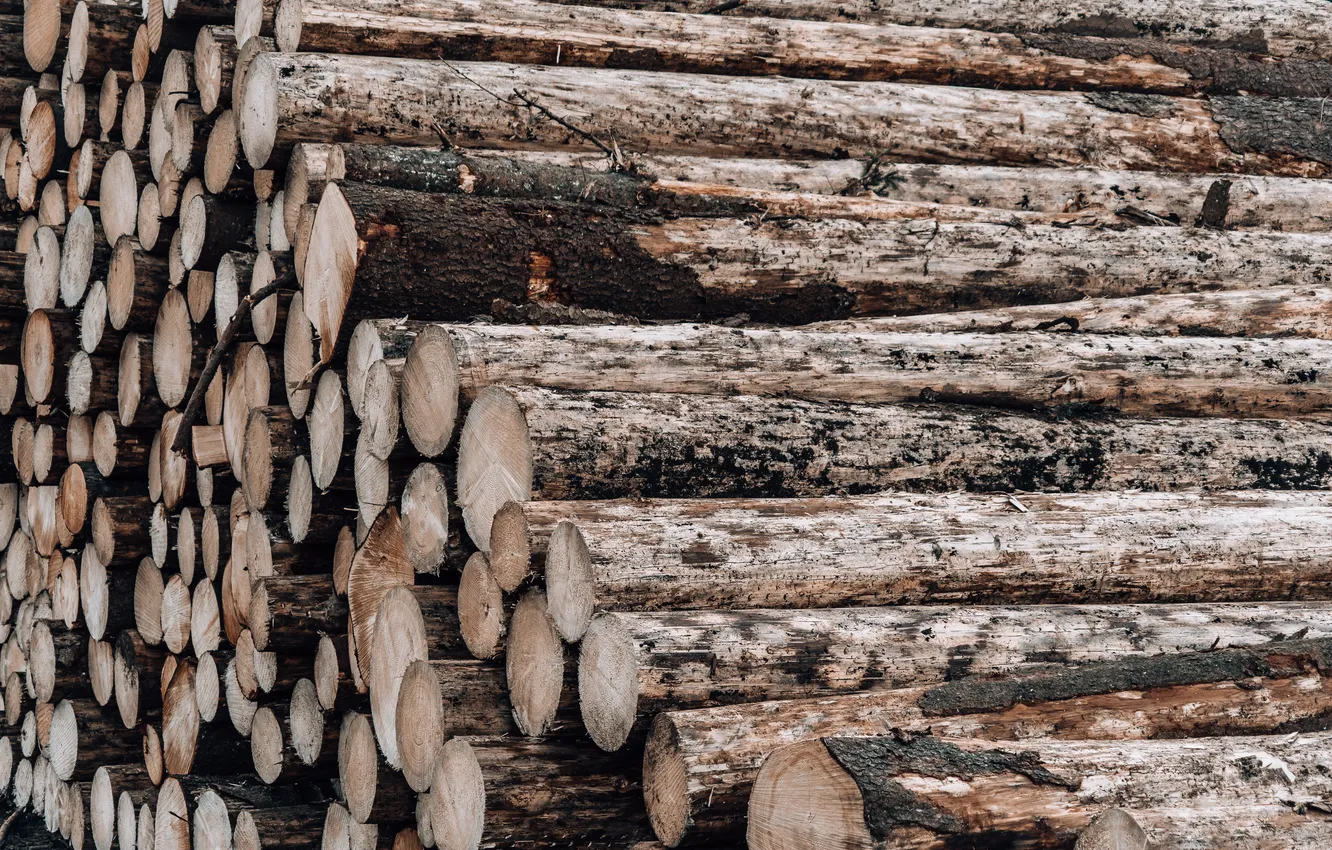 Photo wallpaper wood, log, sawmill