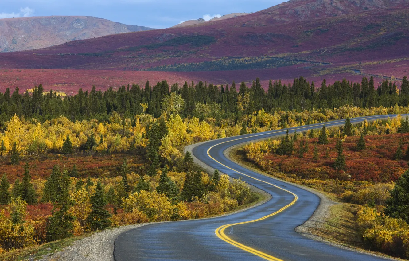 Photo wallpaper road, autumn, forest, trees, Alaska