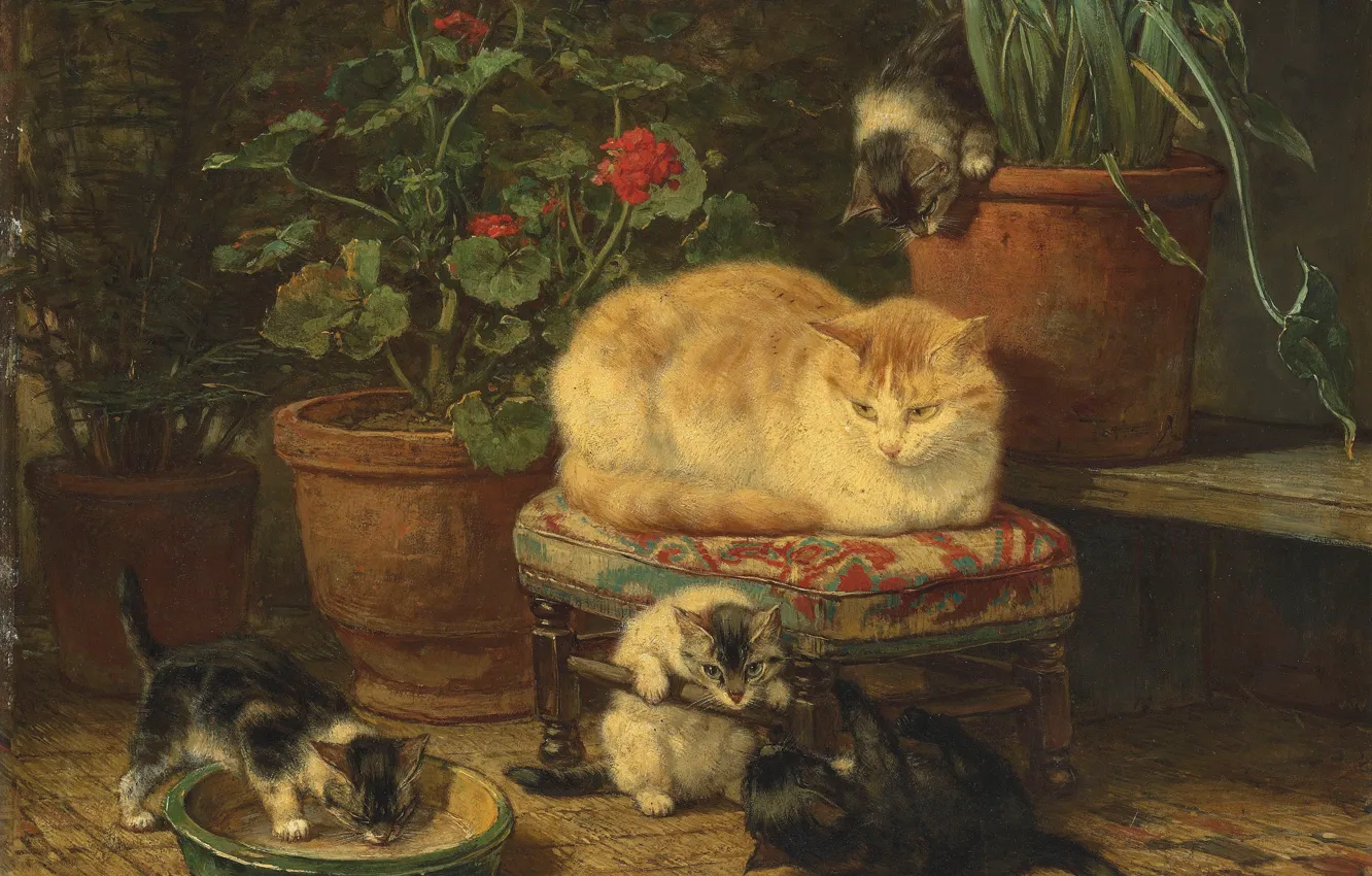 Photo wallpaper cat, oil, kittens, Henriette Ronner-Knip, «Kittens at play»