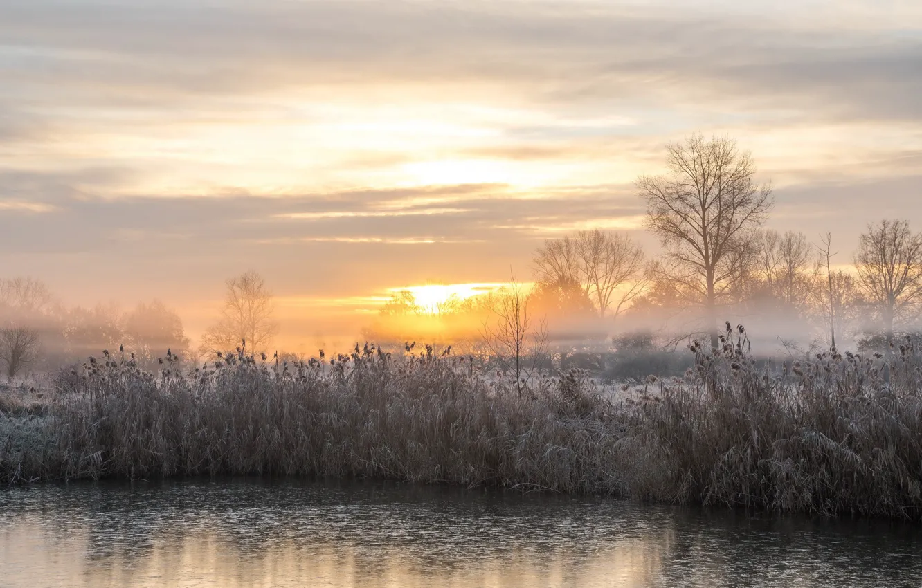 Photo wallpaper sunset, fog, lake