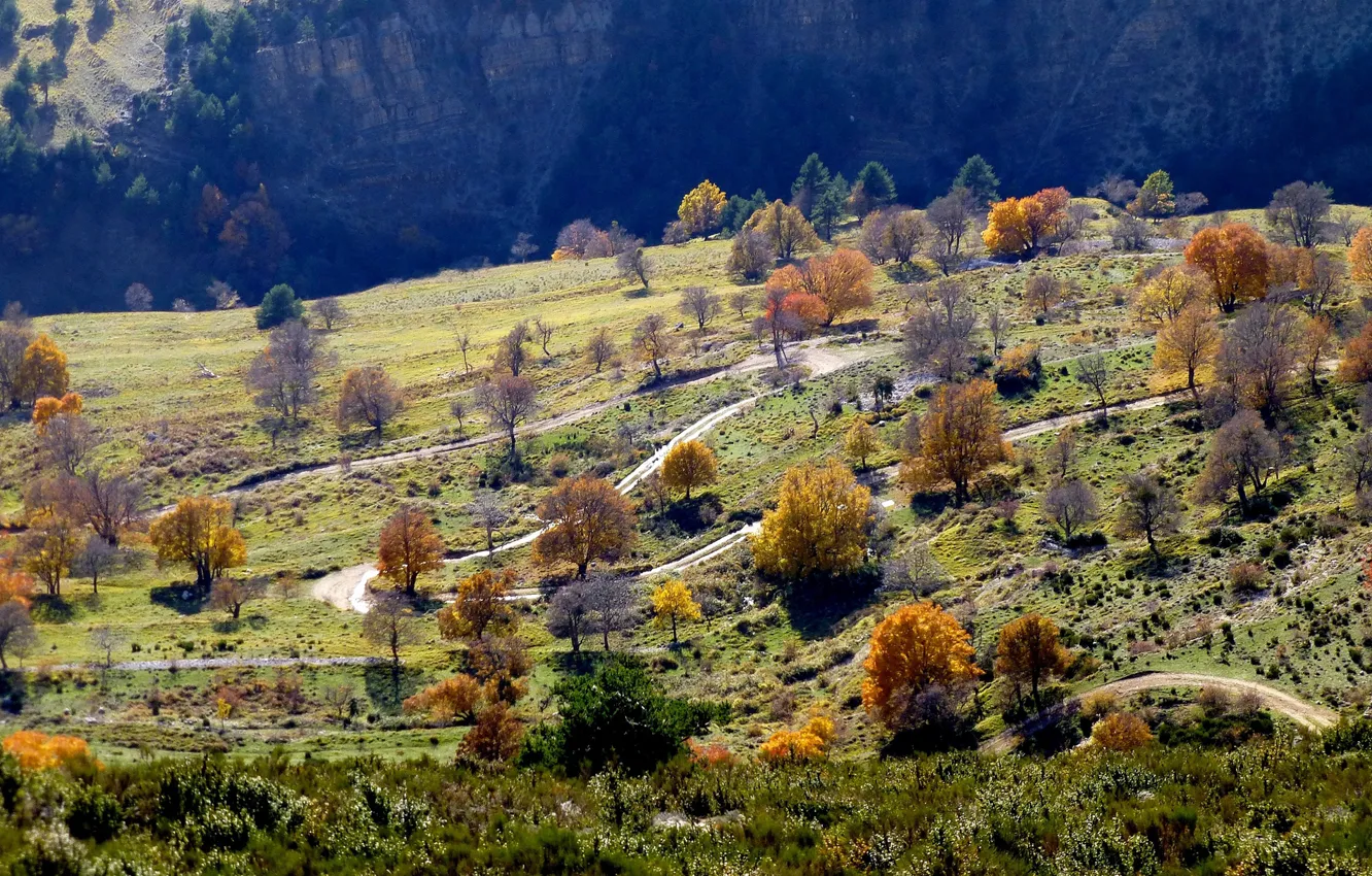 Photo wallpaper road, autumn, trees, mountains, France, slope, Provence-Alpes-Cote d'azur, Coursegolf