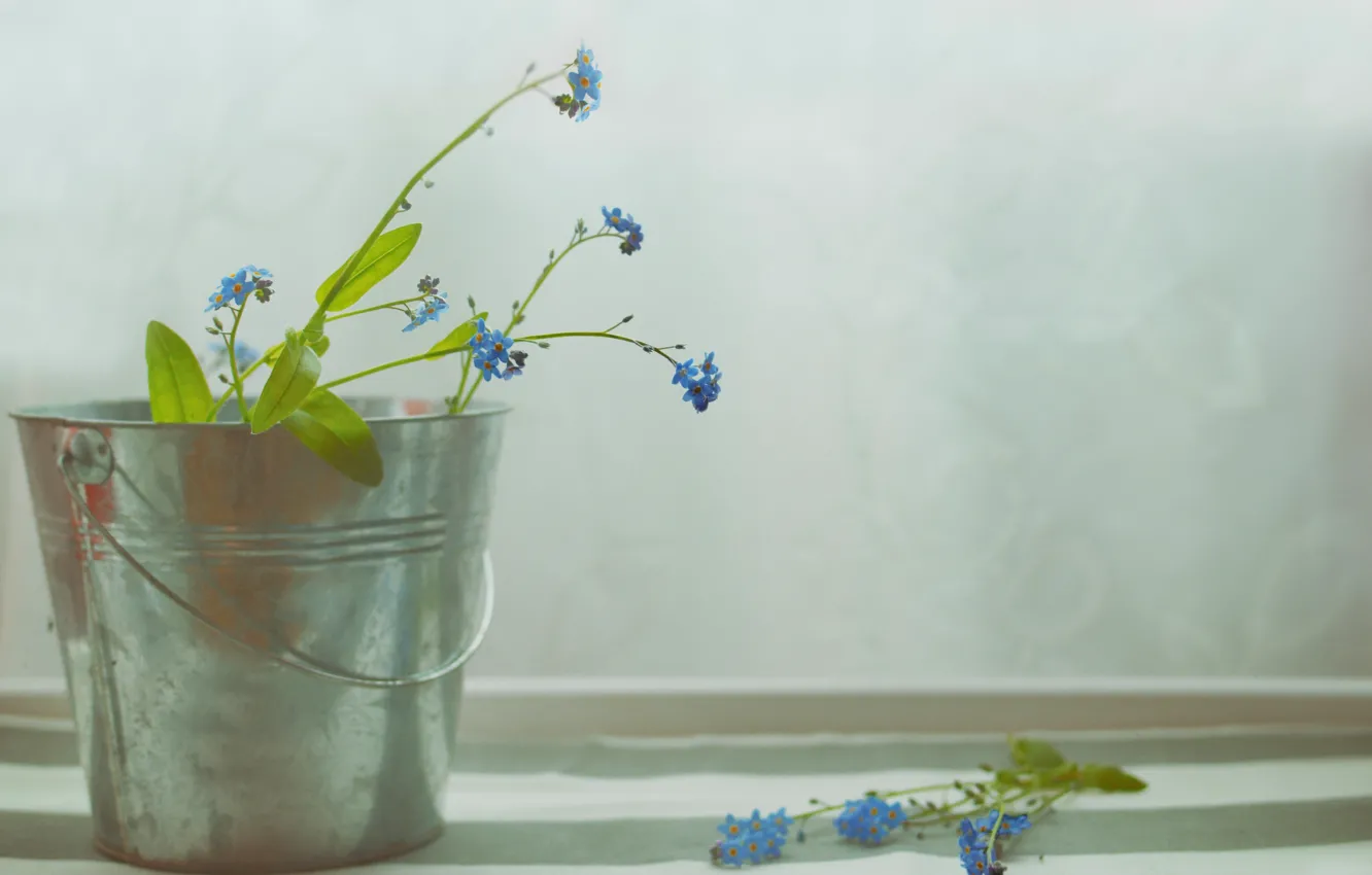 Photo wallpaper flowers, background, bucket