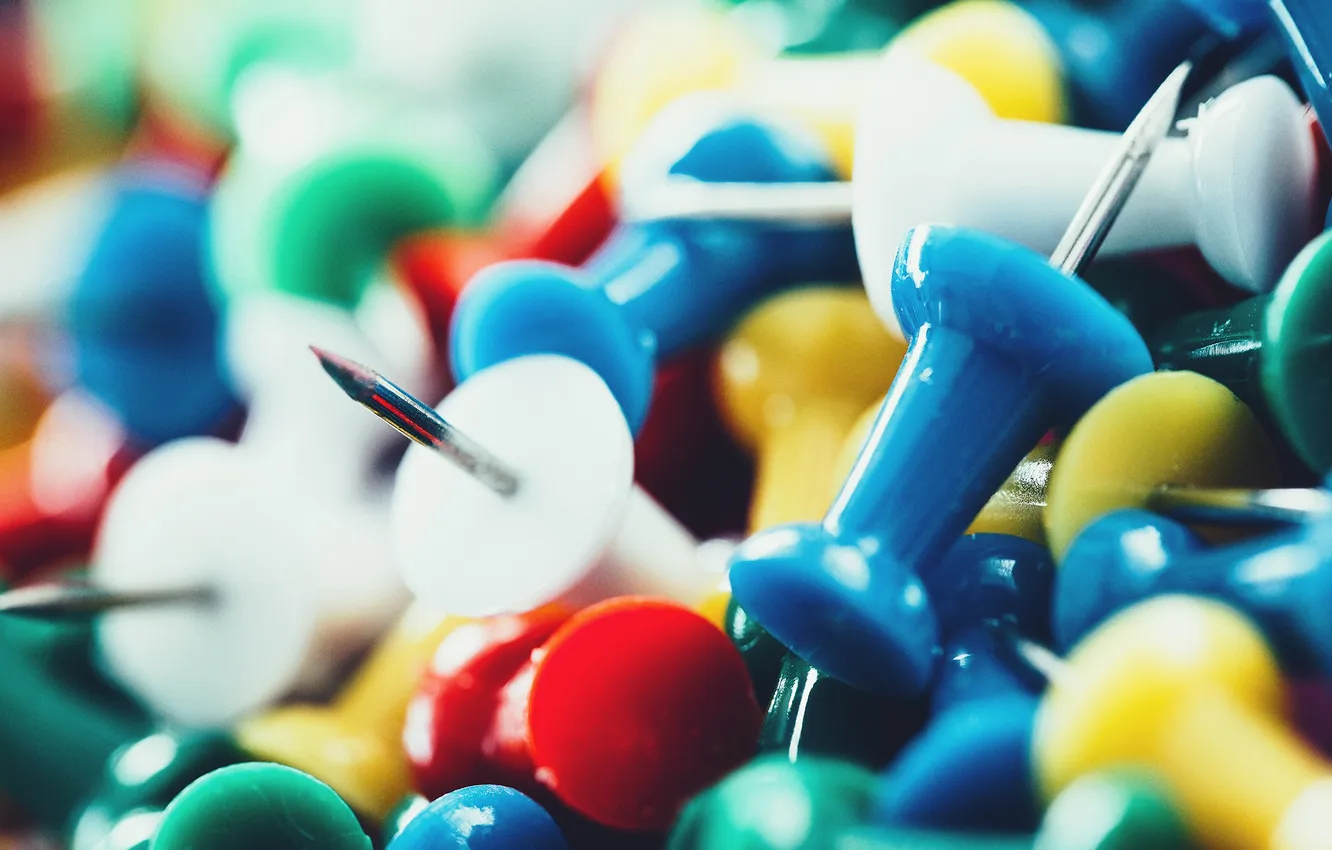 Photo wallpaper macro, needles, photographer, photography, photographer, macro, Björn Wunderlich