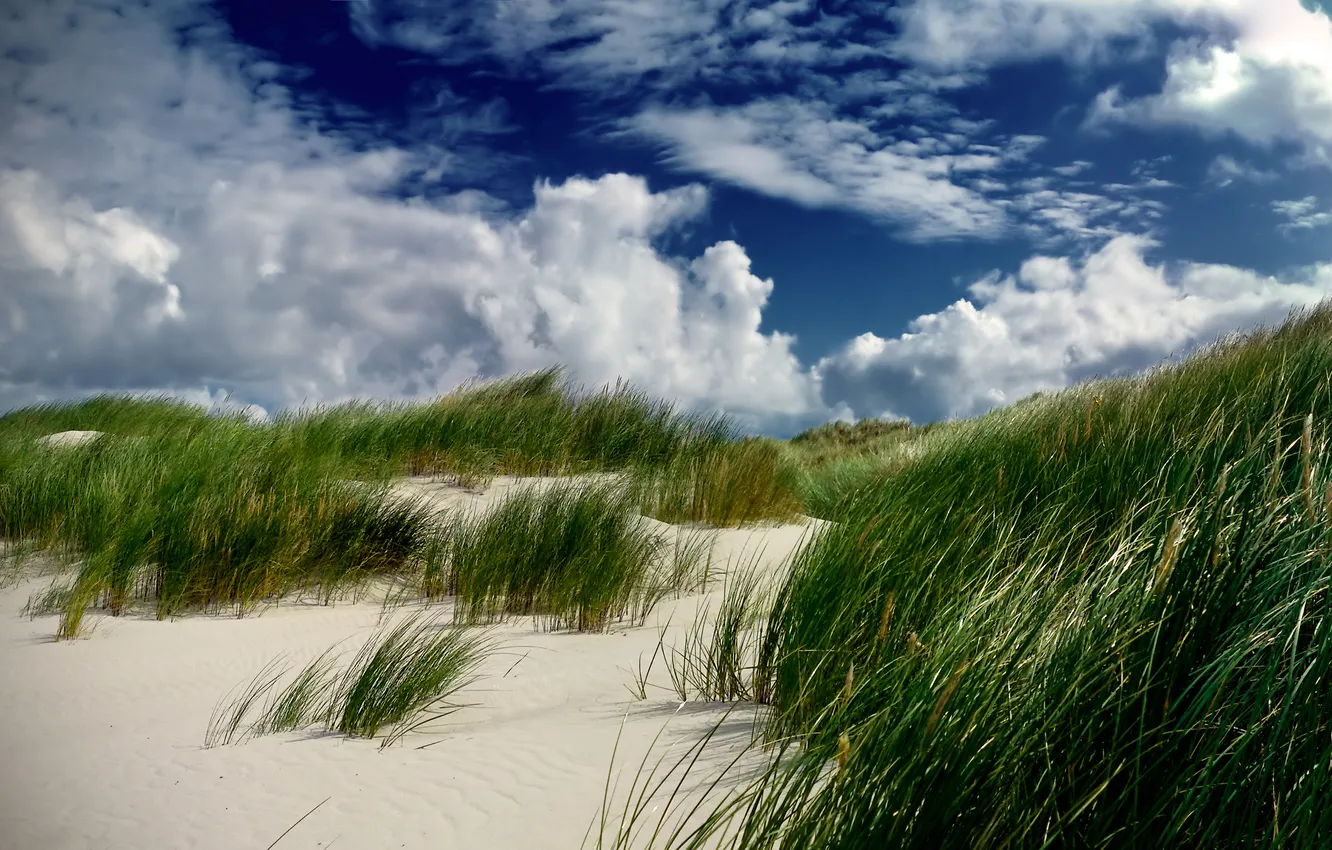 Photo wallpaper sand, grass, clouds, dune
