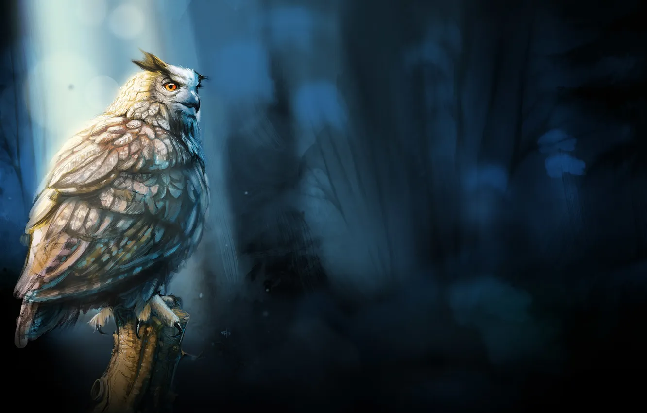 Photo wallpaper look, owl, bird, art