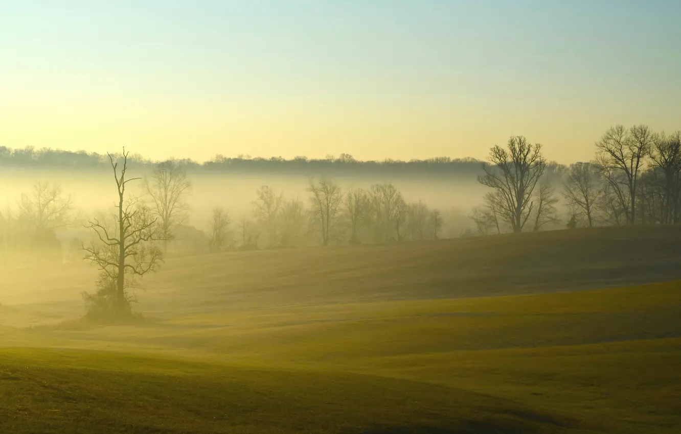 Photo wallpaper field, landscape, fog, morning