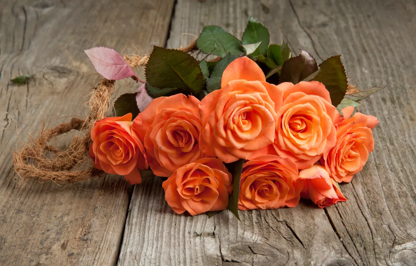Photo wallpaper orange, roses, bouquet, buds, THE OFF