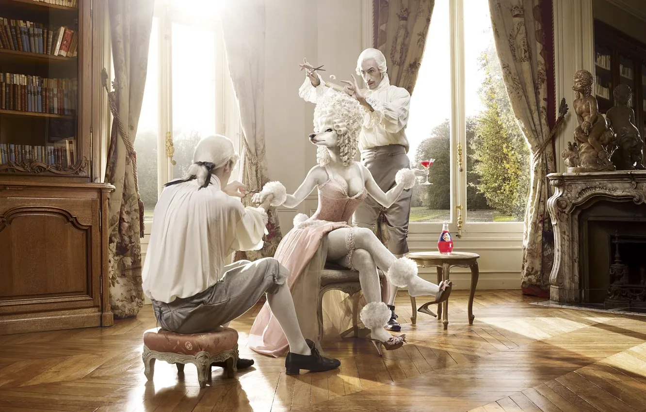 Photo wallpaper girl, face, poodle