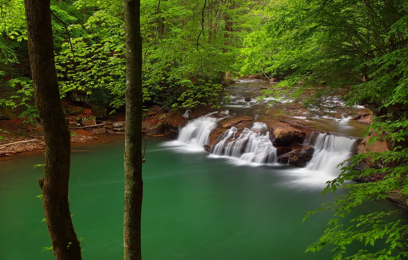 Photo wallpaper forest, trees, river, waterfall, cascade, West Virginia, West Virginia, New River Gorge National River