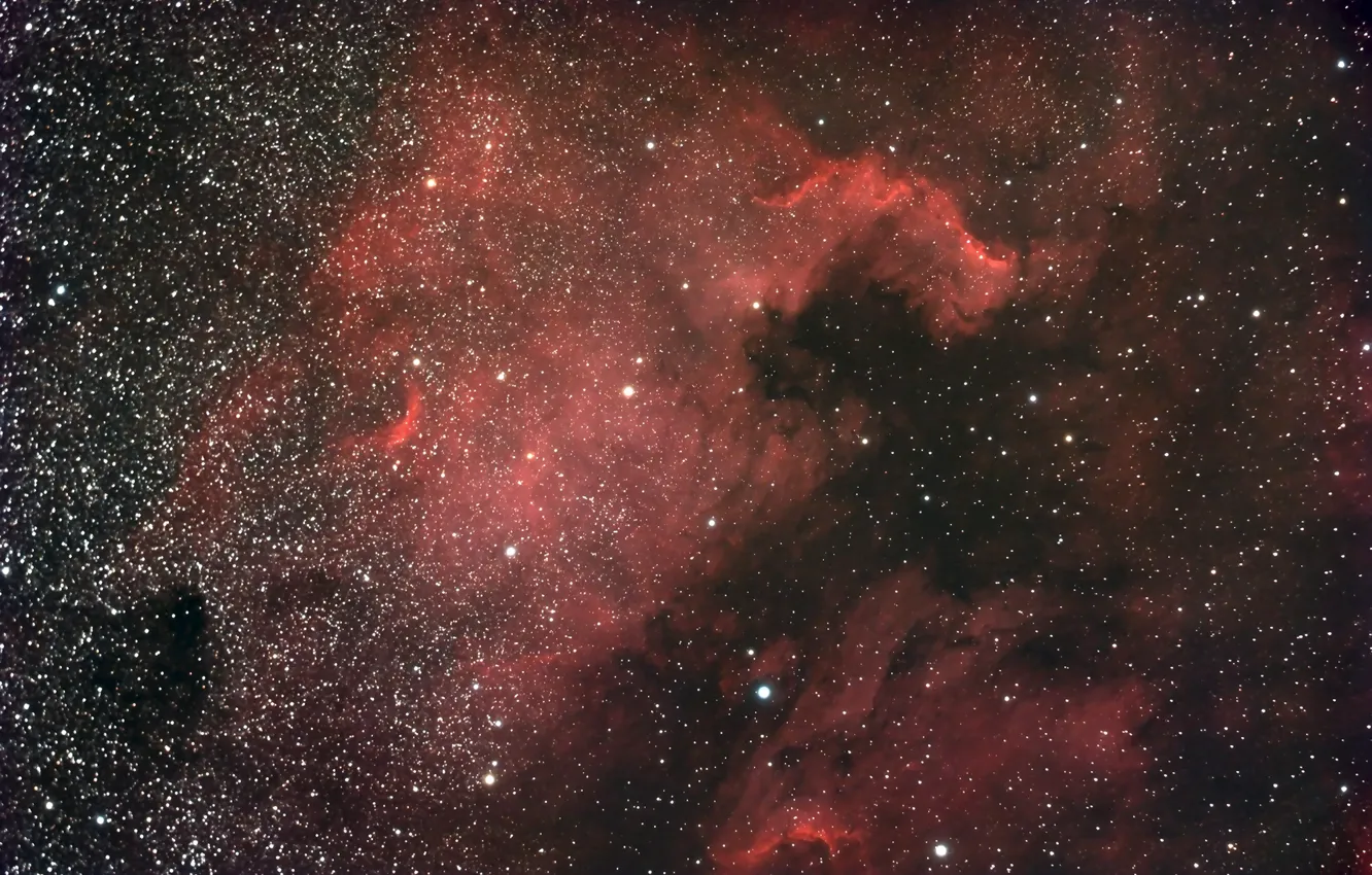 Photo wallpaper space, stars, North America Nebula, NGC 7000