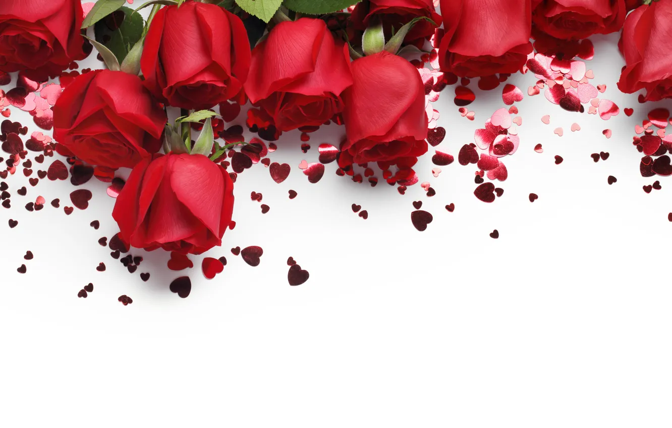 Photo wallpaper rose, red, rose, flower