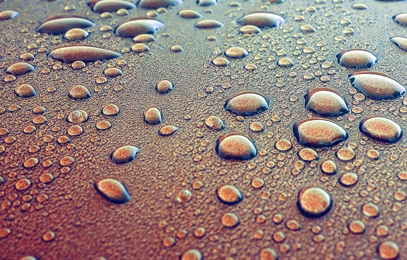 Photo wallpaper water, textures, drops, humidity