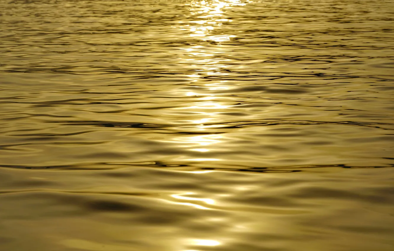 Photo wallpaper the sun, sunset, Water