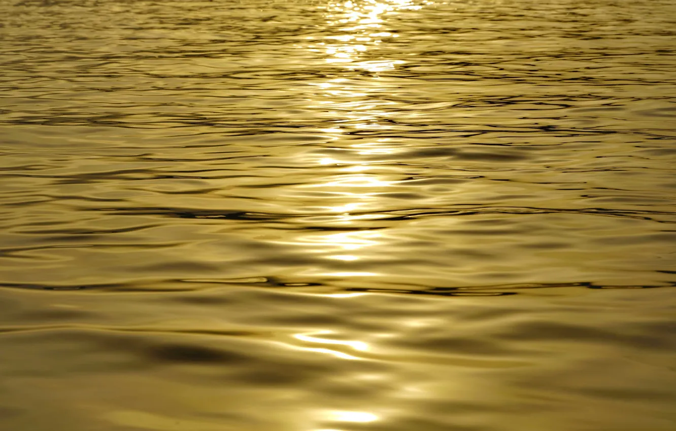 Photo wallpaper water, the sun, sunset