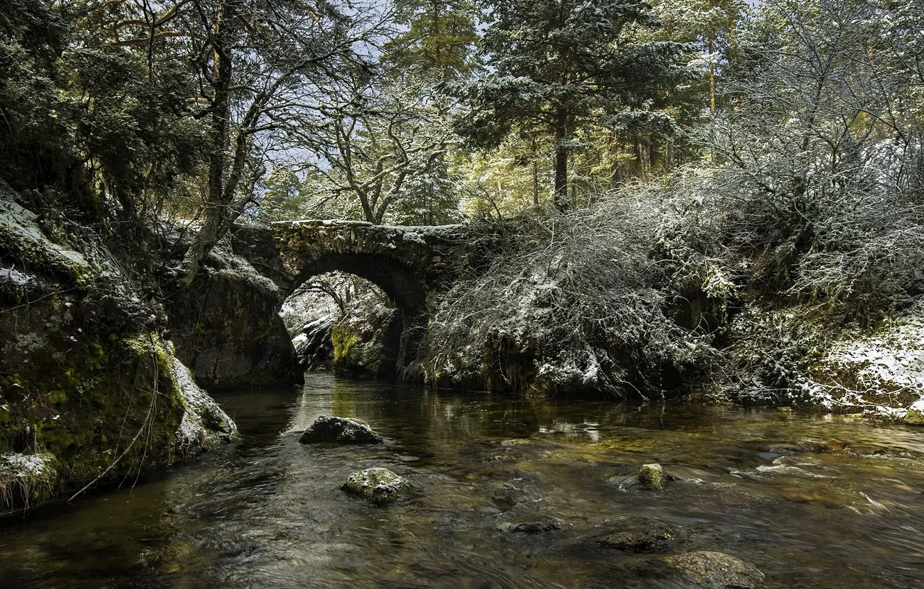 Photo wallpaper bridge, nature, river