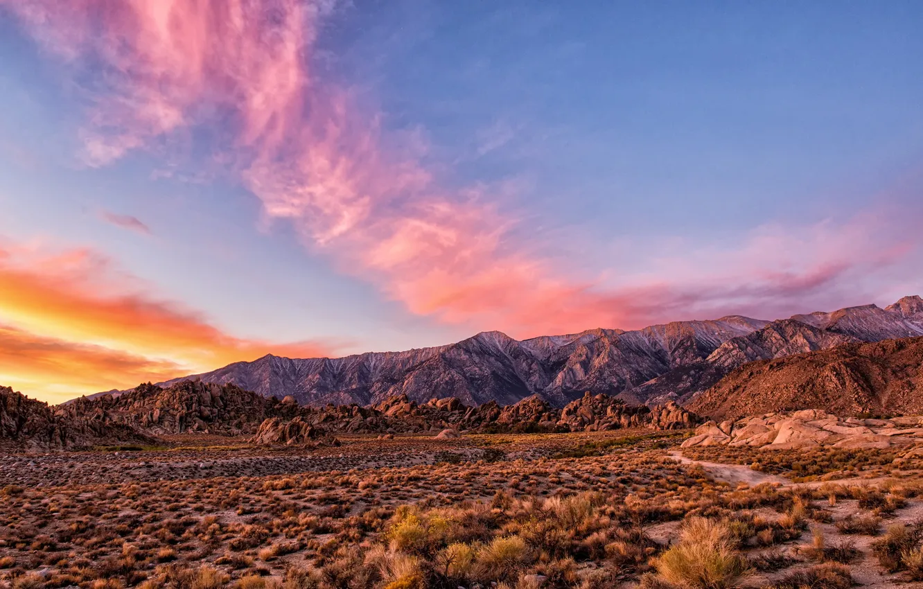 Photo wallpaper field, landscape, sunset