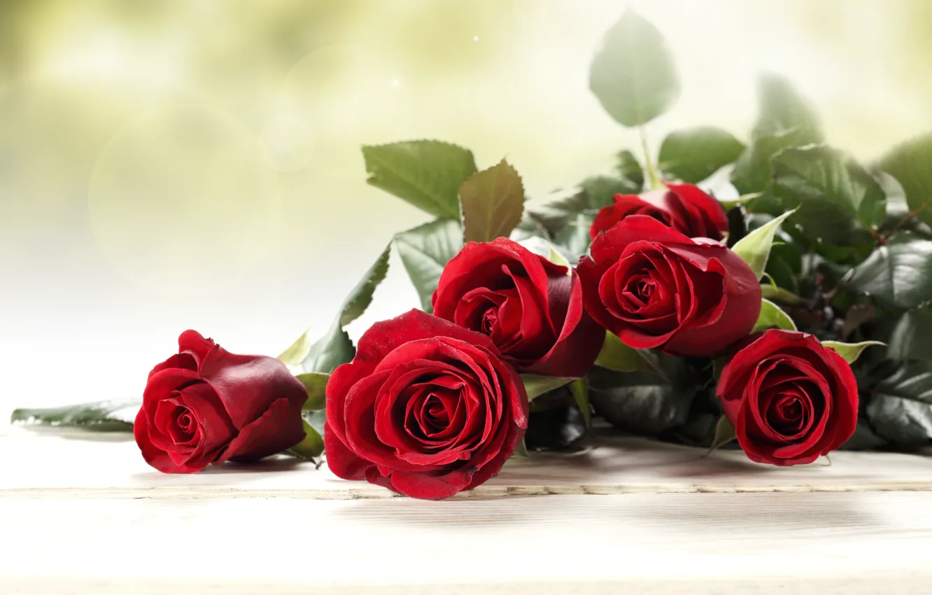 Photo wallpaper leaves, flowers, roses, bouquet, buds, flowers, leaves, bouquet