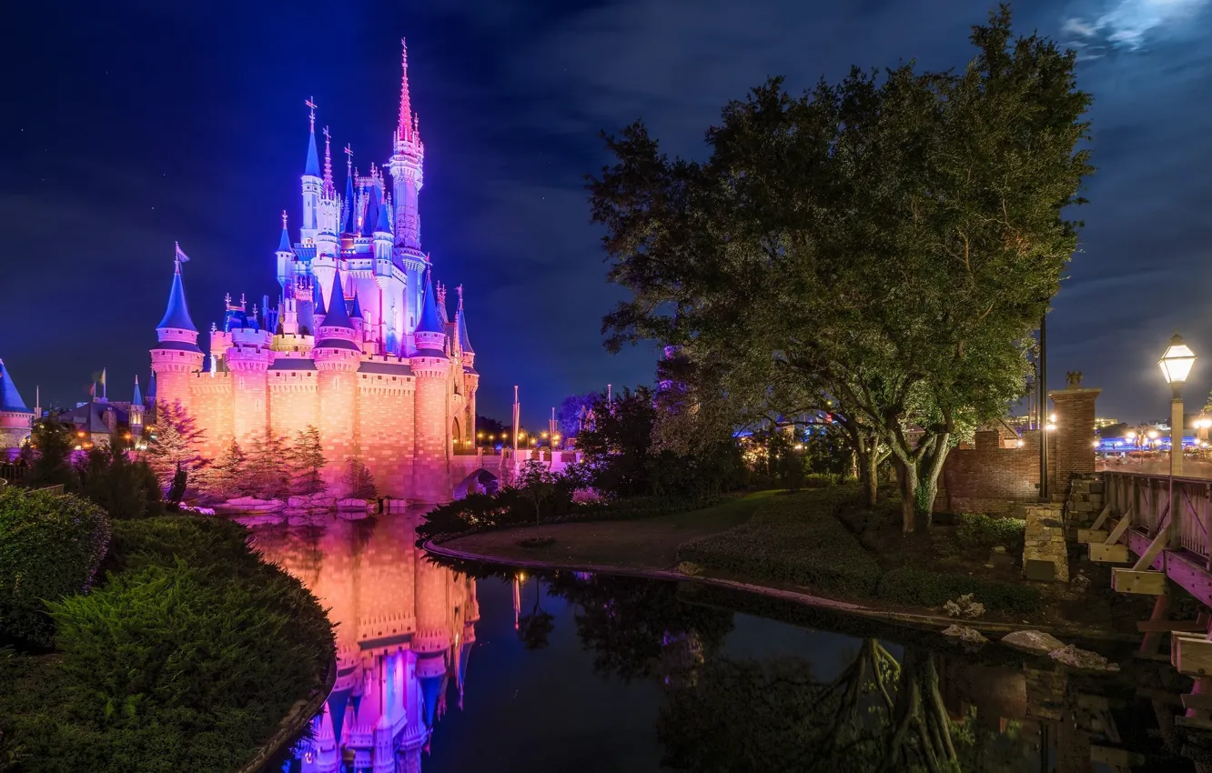 Photo wallpaper night, castle, Disneyland