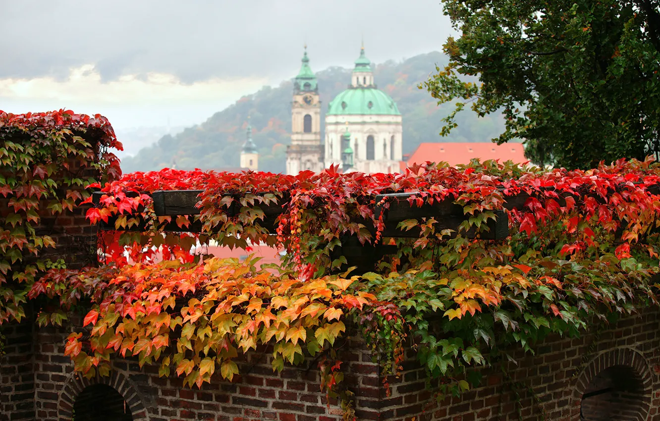 Photo wallpaper autumn, leaves, the city, Prague